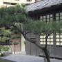 japanesegarden_02 The Japanese Garden at CSU Dominguez Hills - as well as recent efforts to assist victims of the March 11 tsunami and earthquake - represents the university's link to Japanese and Japanese American communities.